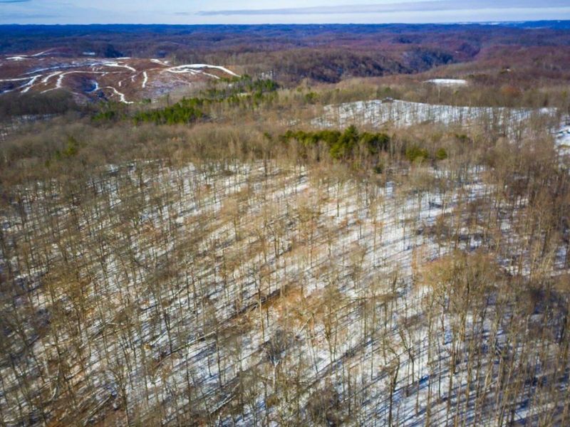 56953 Mills Road, South Bloomingville, OH 43152 Photo 35