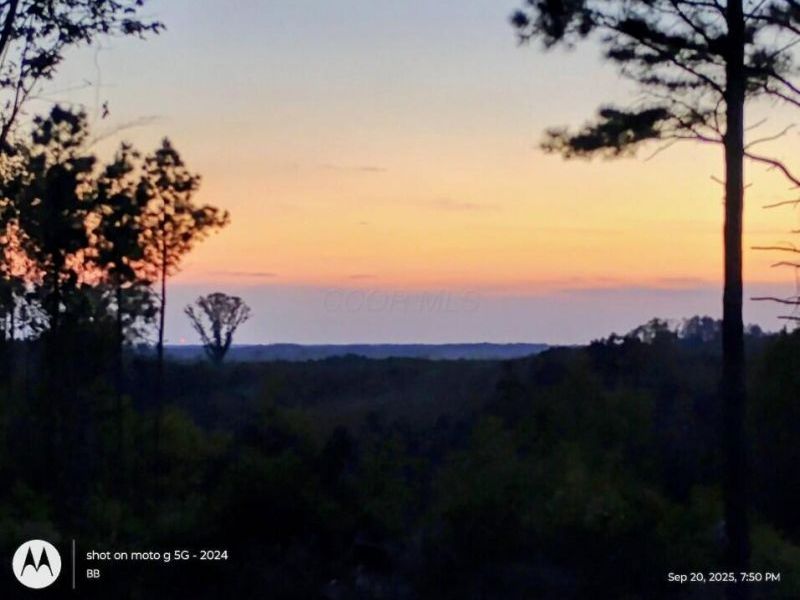 56953 Mills Road, South Bloomingville, OH 43152 Photo 37