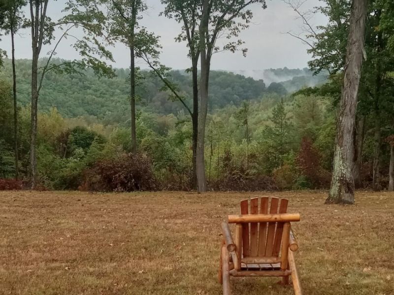 56953 Mills Road, South Bloomingville, OH 43152 Photo 39