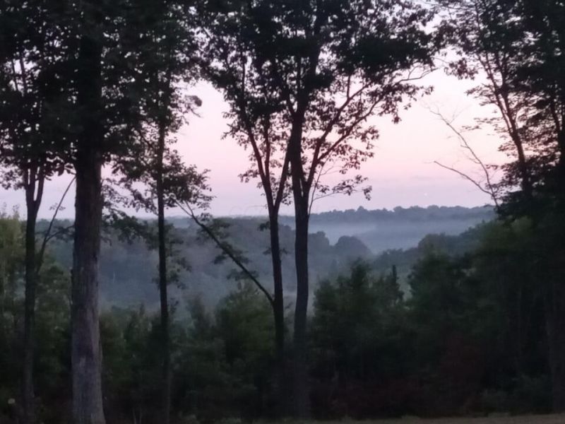 56953 Mills Road, South Bloomingville, OH 43152 Photo 40