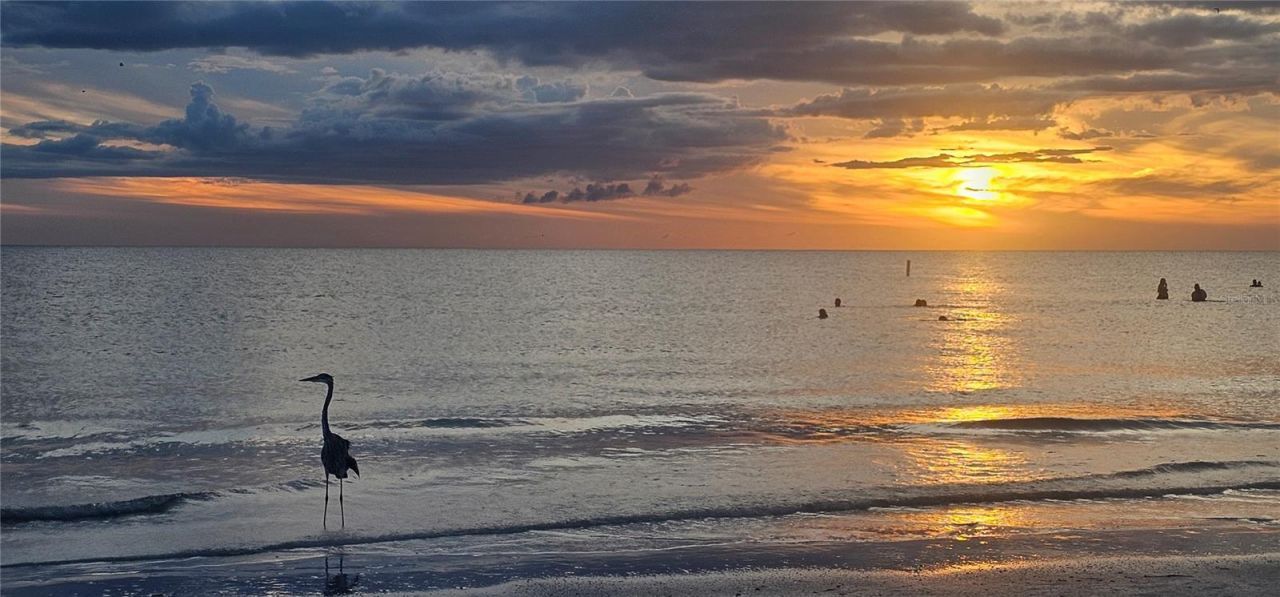 5311 Nathaniel Place, Sarasota, FL 34233 Photo