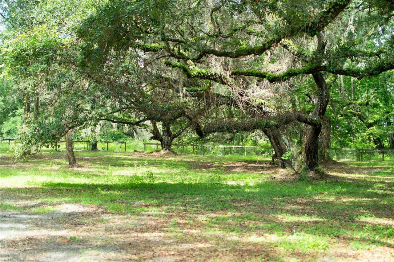 4100 SW 89th Avenue, Ocala, FL 34481 Main Photo