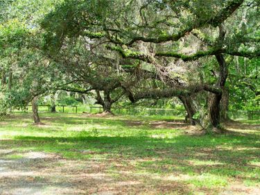 4100 SW 89TH AVENUE, OCALA, FL 34481