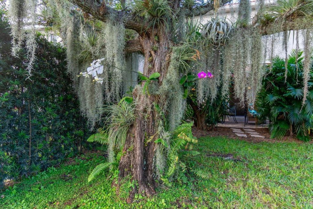 1004 Center Stone Lane, Riviera Beach, FL 33404 Photo