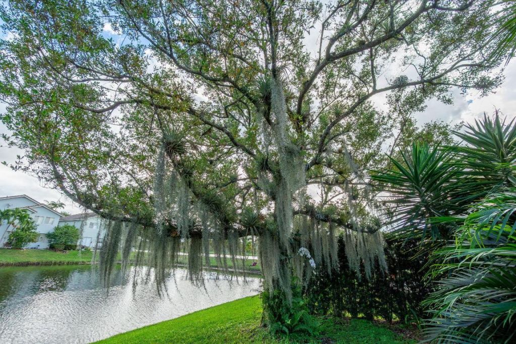 1004 Center Stone Lane, Riviera Beach, FL 33404 Photo