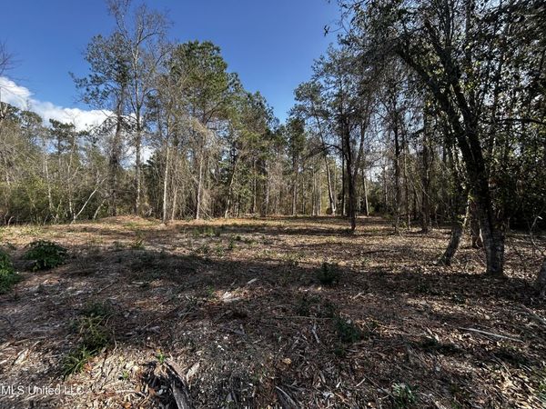 0 Lakeside Drive, Carriere, MS 39426