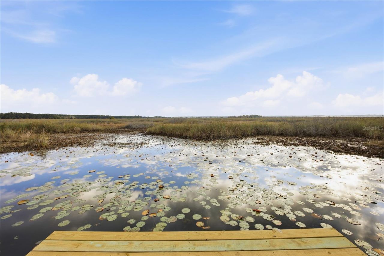 23422 NE 154th Place Road, Salt Springs, FL 32134 Photo