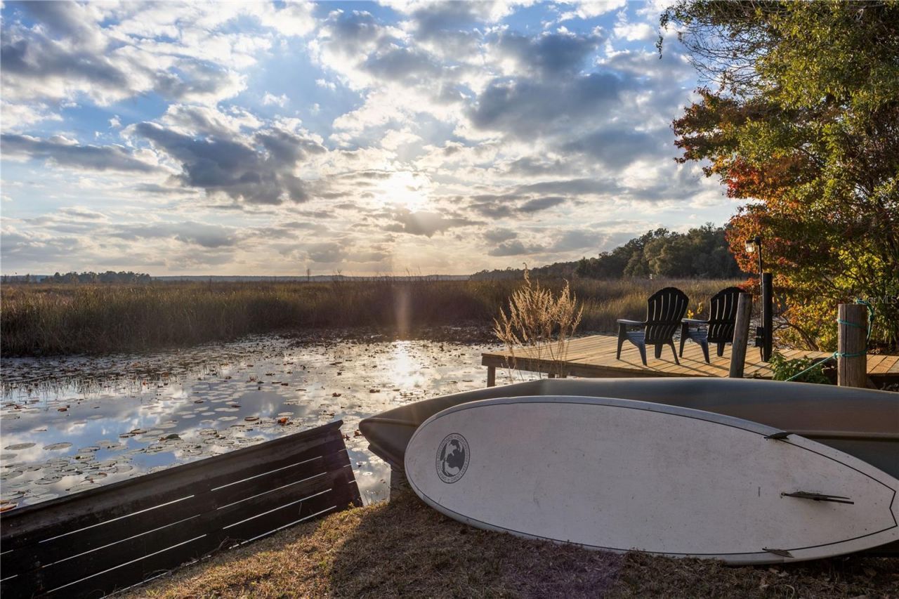 23422 NE 154th Place Road, Salt Springs, FL 32134 Photo