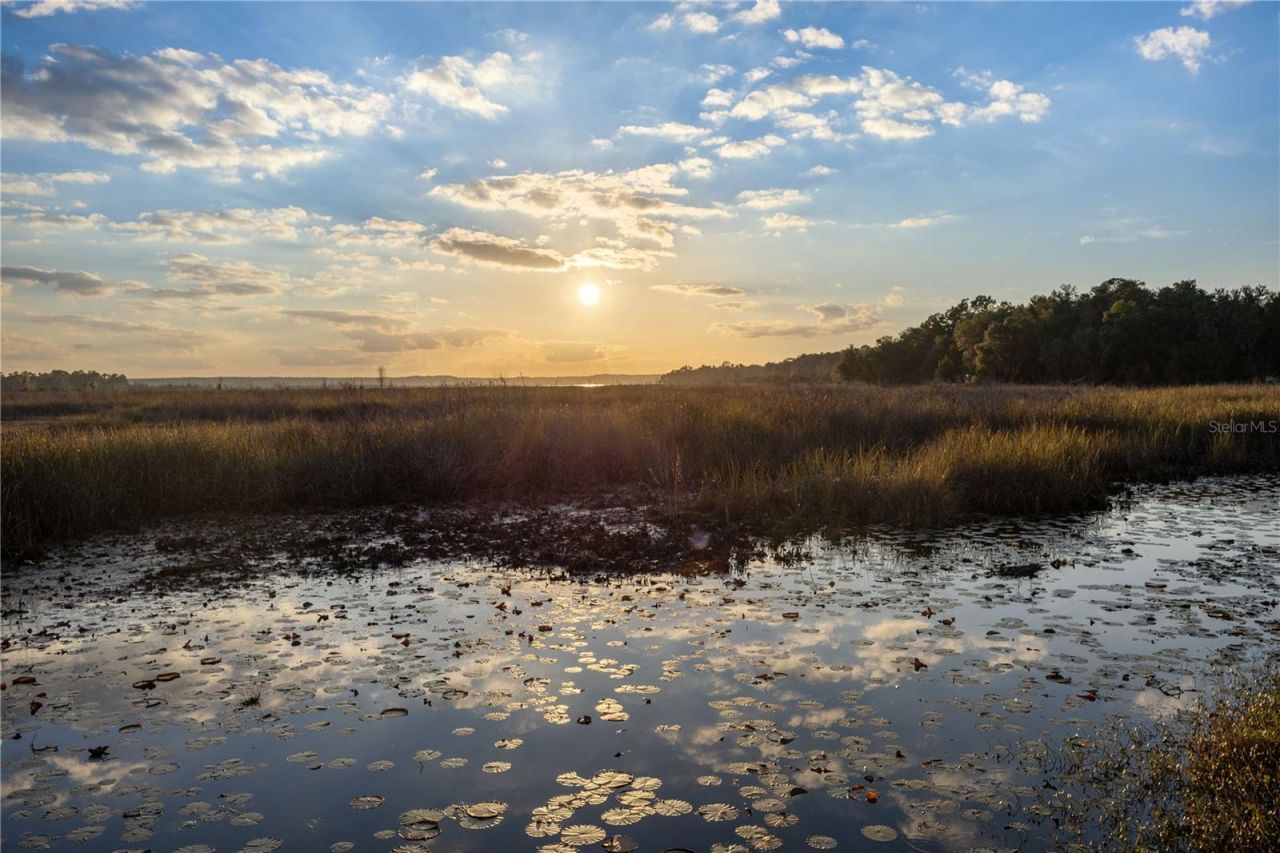 23422 NE 154th Place Road, Salt Springs, FL 32134 Photo