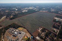 315 Loris Lions Rd. photo 4