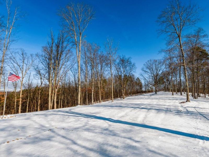 56953 Mills Road, South Bloomingville, OH 43152 Photo 10