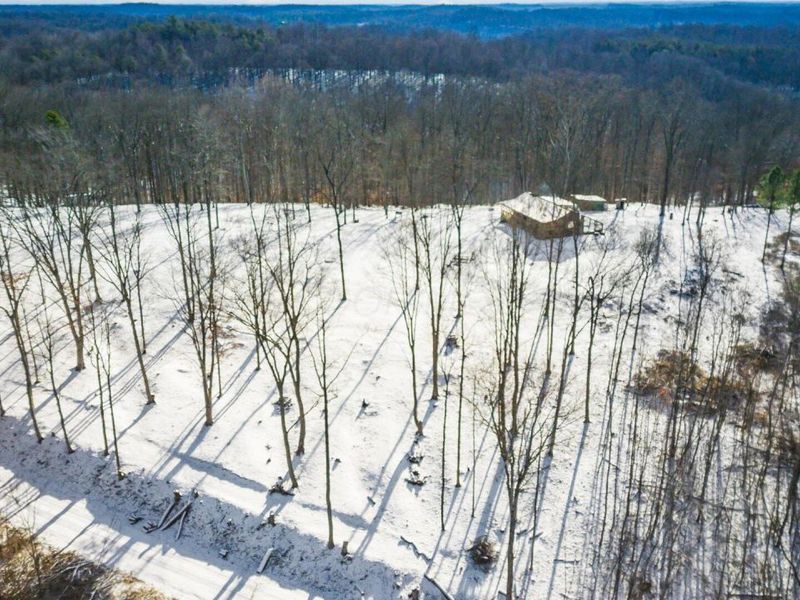 56953 Mills Road, South Bloomingville, OH 43152 Photo 12