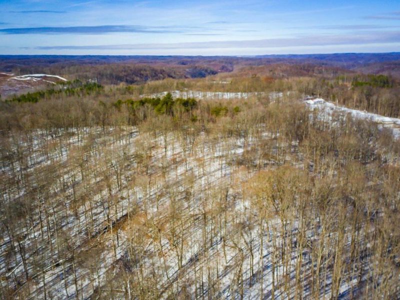 56953 Mills Road, South Bloomingville, OH 43152 Photo 17