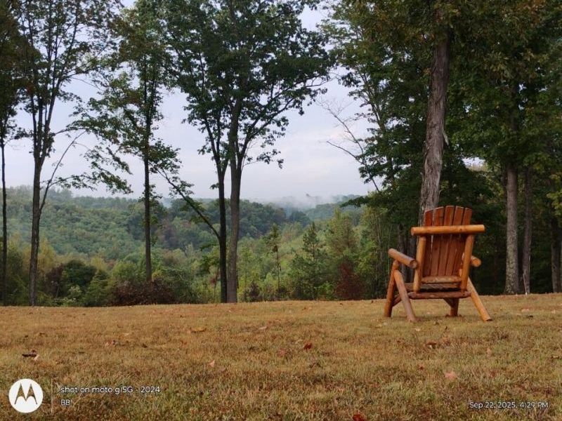 56953 Mills Road, South Bloomingville, OH 43152 Photo 21