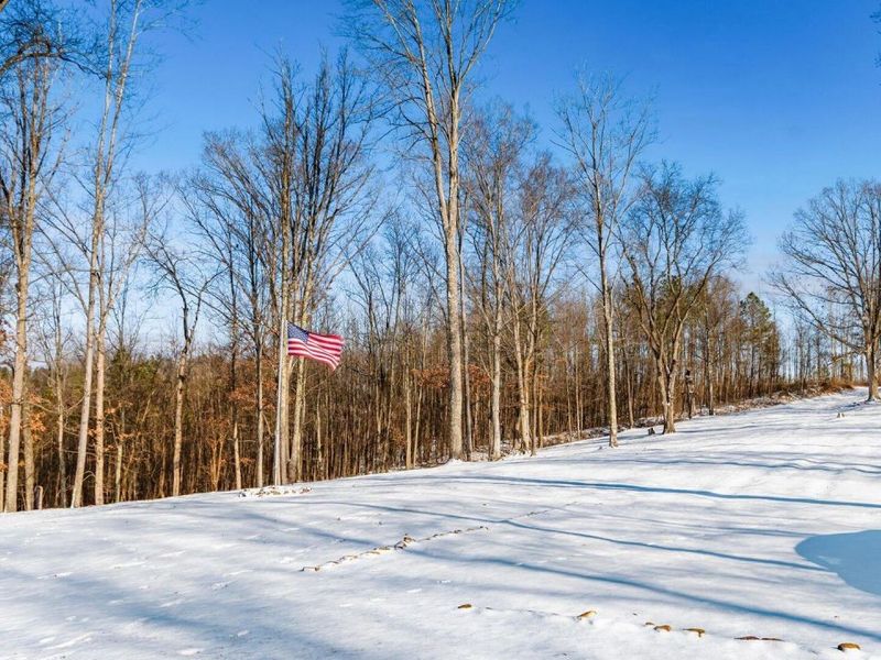 56953 Mills Road, South Bloomingville, OH 43152 Photo 3