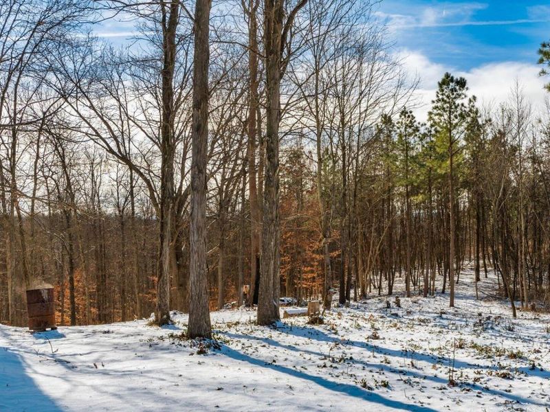 56953 Mills Road, South Bloomingville, OH 43152 Photo 7