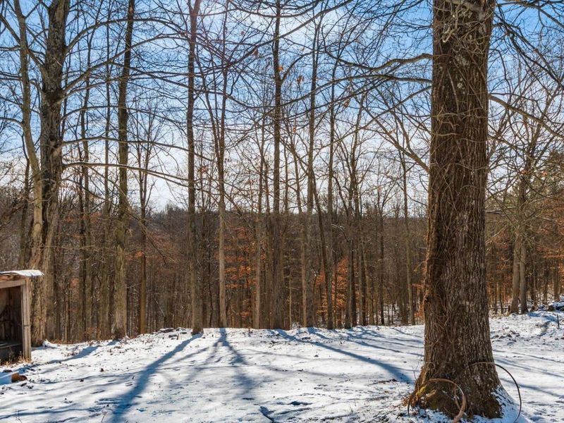 56953 Mills Road, South Bloomingville, OH 43152 Photo 8