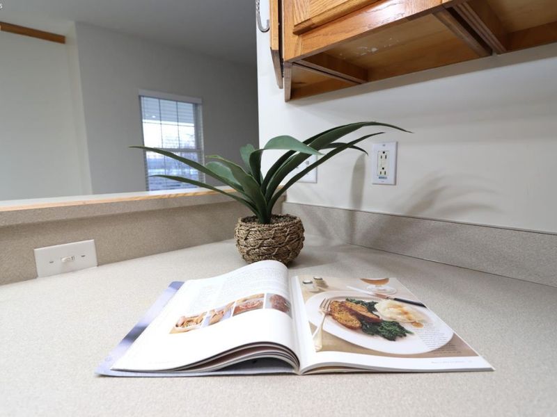 245 Lincoln Court, Plymouth, OH 44865 Photo 20