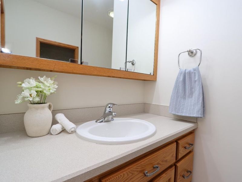 245 Lincoln Court, Plymouth, OH 44865 Photo 28