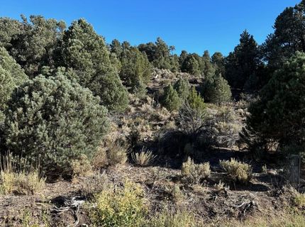 2531 Cartwright Road, Reno, NV 89521 Photo