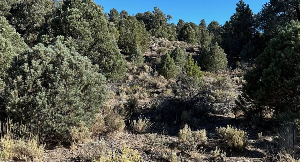 2531 Cartwright Road, Reno, NV 89521 Photo