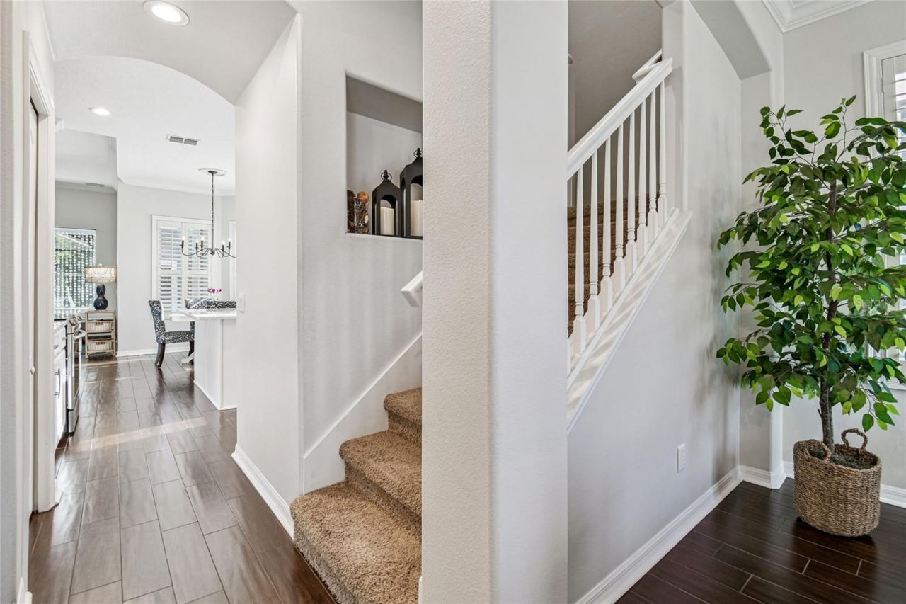 14617 Tudor Chase Drive, Tampa, FL 33626 Photo