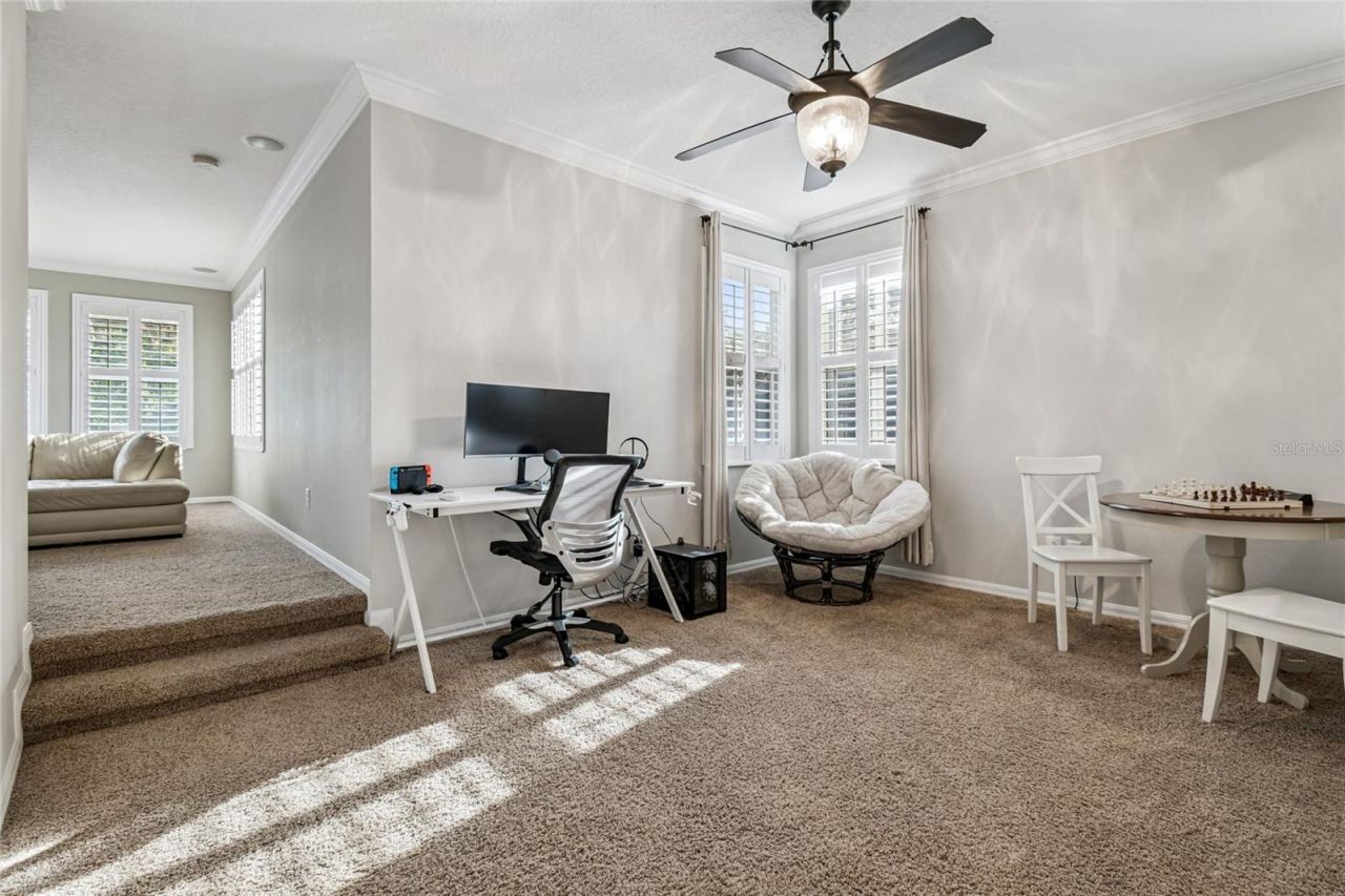 14617 Tudor Chase Drive, Tampa, FL 33626 Photo