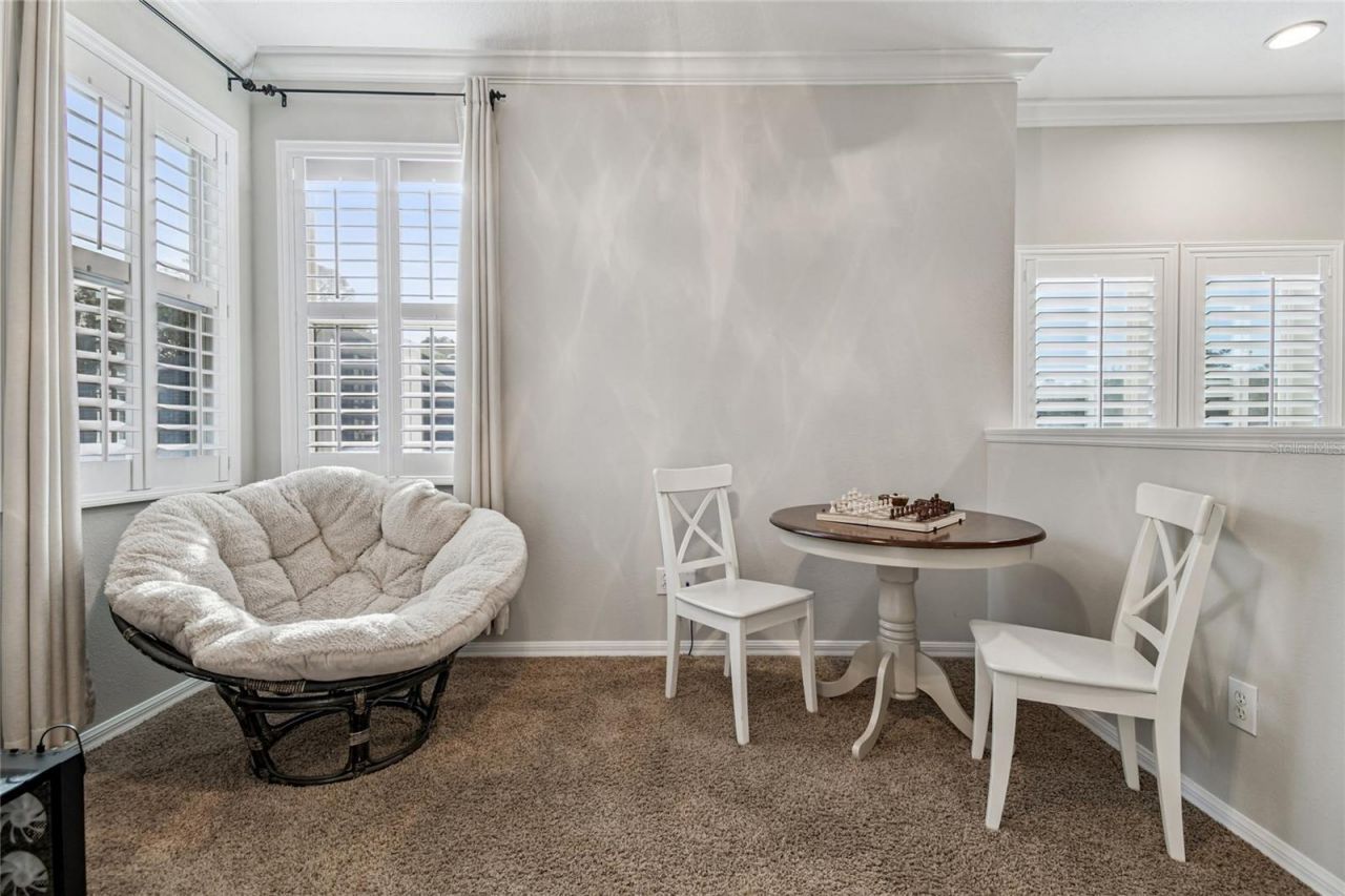 14617 Tudor Chase Drive, Tampa, FL 33626 Photo