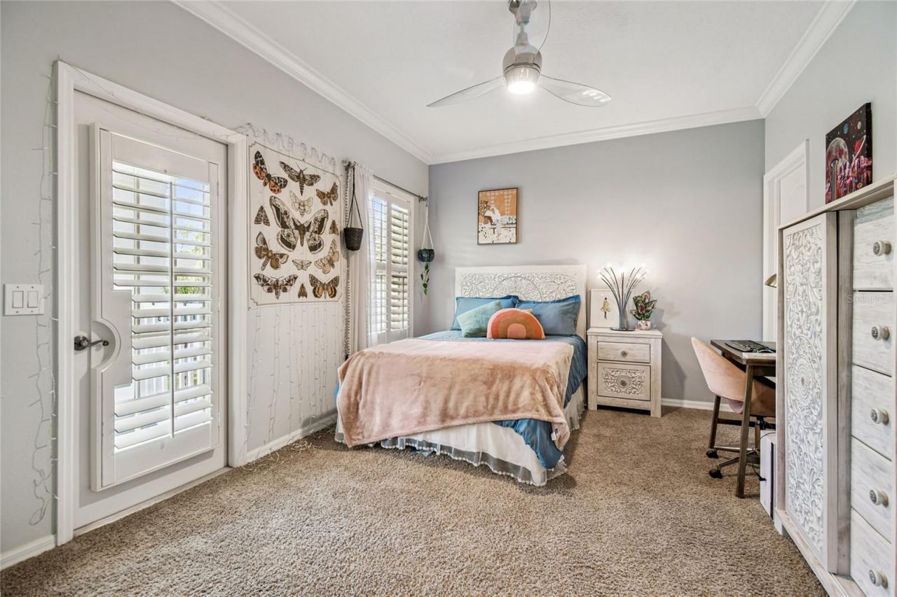 14617 Tudor Chase Drive, Tampa, FL 33626 Photo