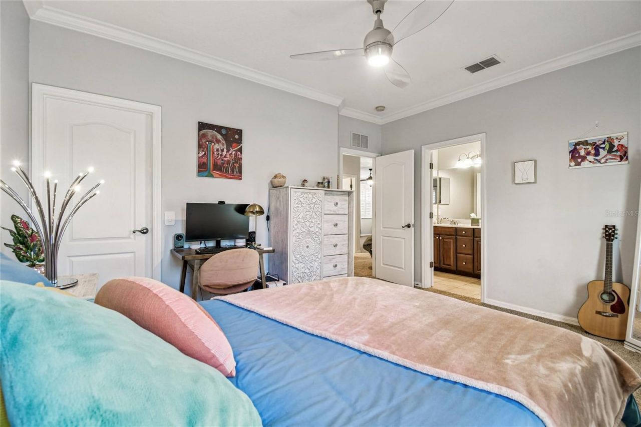 14617 Tudor Chase Drive, Tampa, FL 33626 Photo