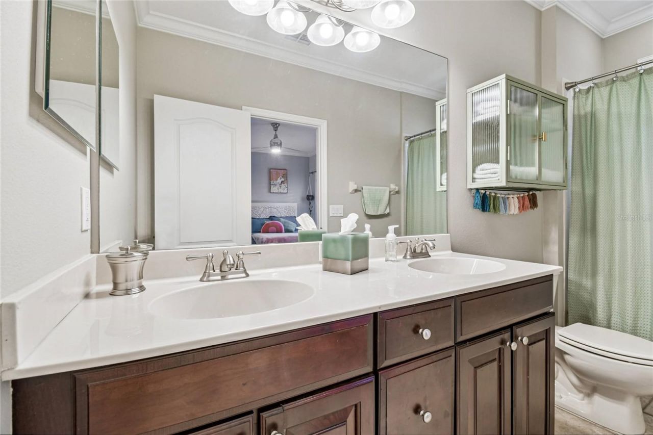 14617 Tudor Chase Drive, Tampa, FL 33626 Photo