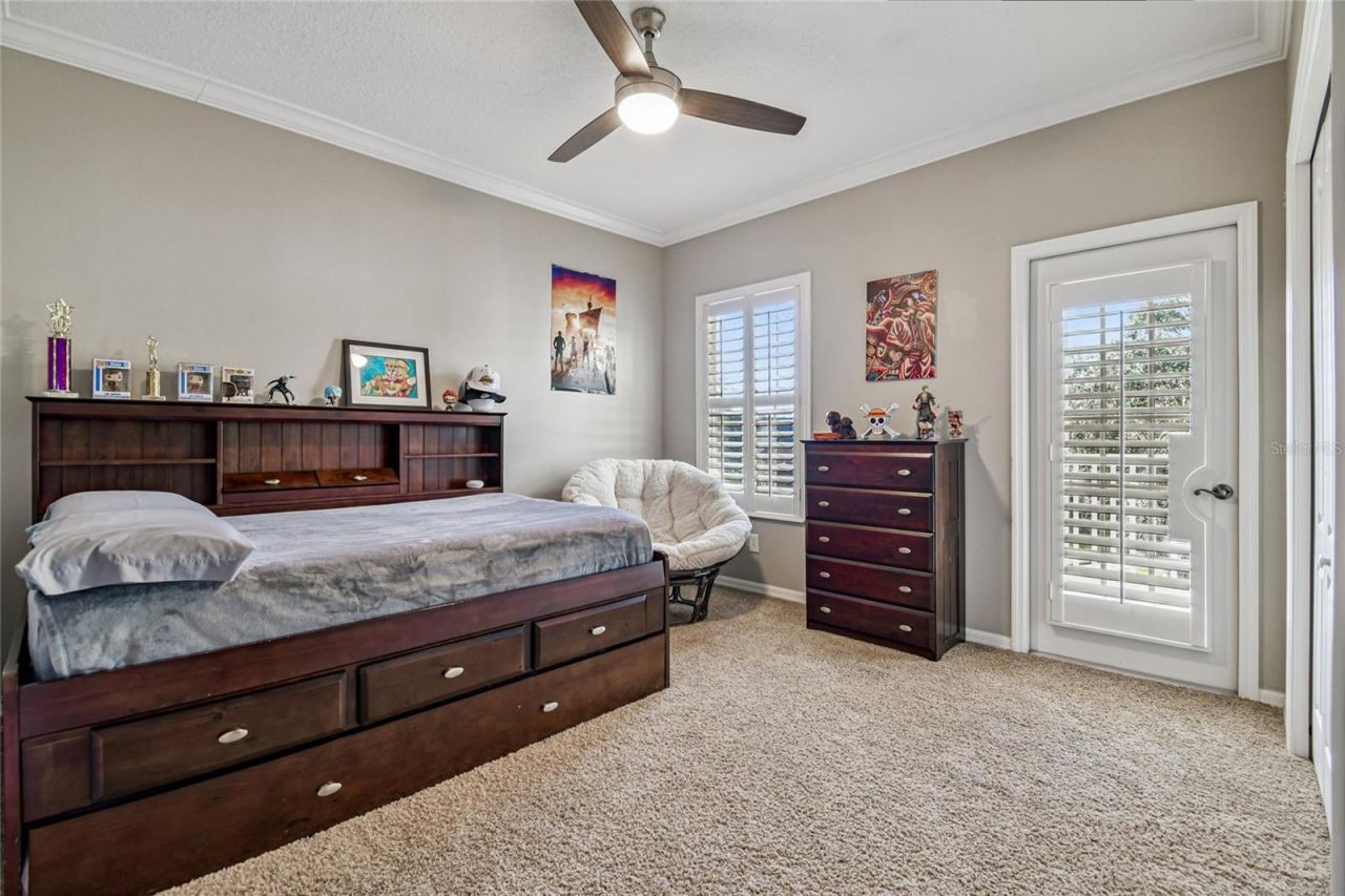 14617 Tudor Chase Drive, Tampa, FL 33626 Photo