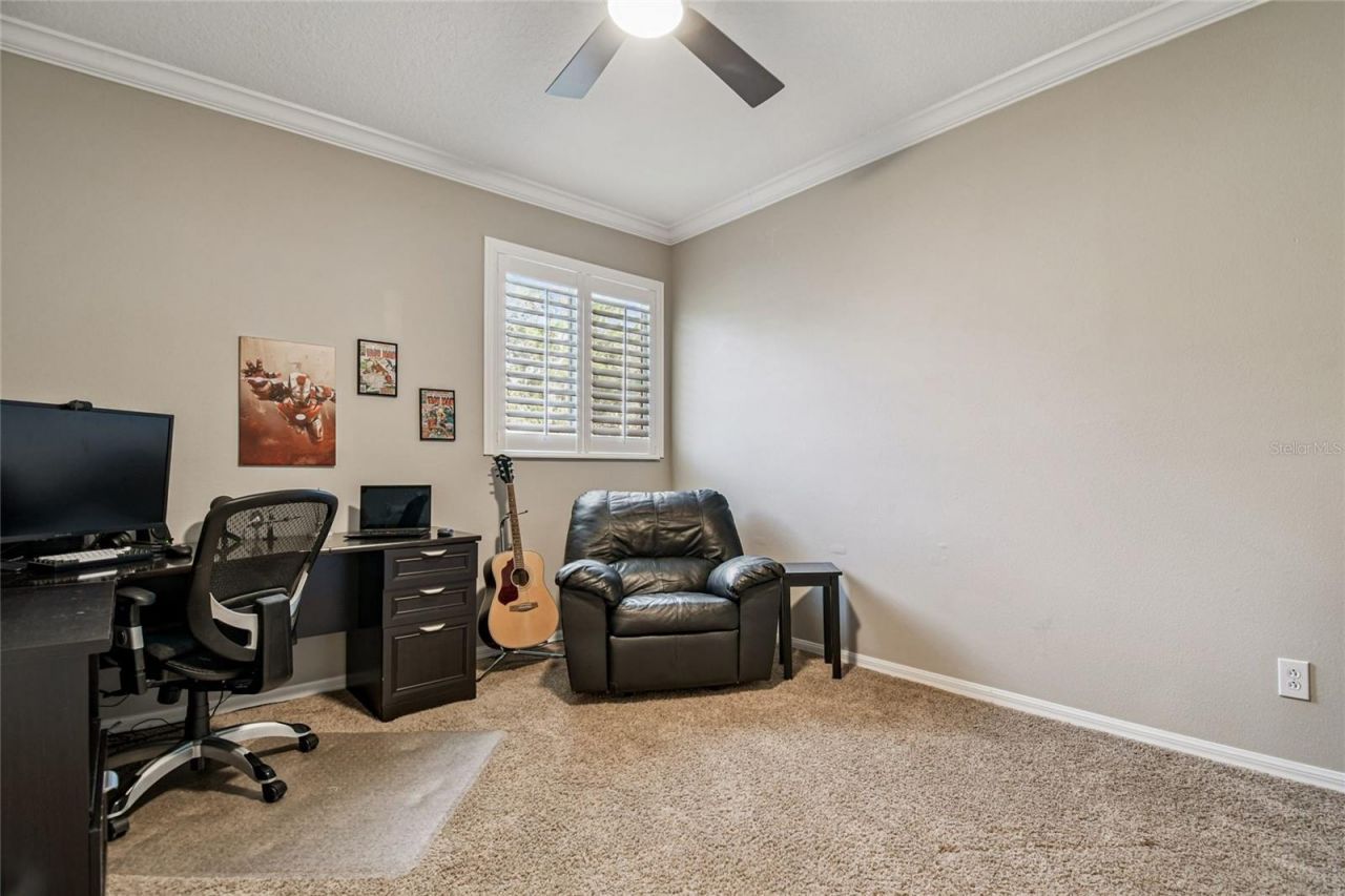 14617 Tudor Chase Drive, Tampa, FL 33626 Photo