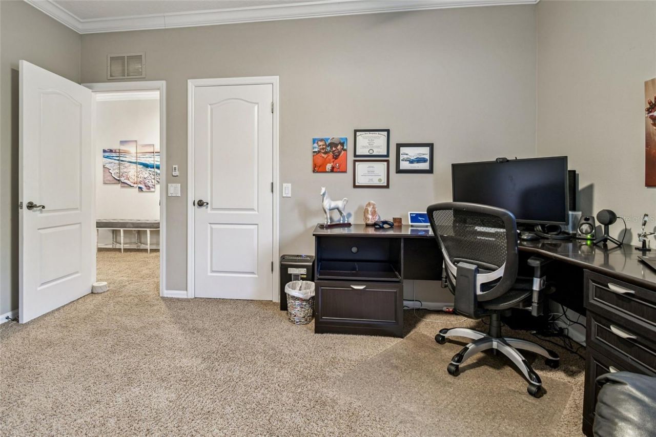 14617 Tudor Chase Drive, Tampa, FL 33626 Photo