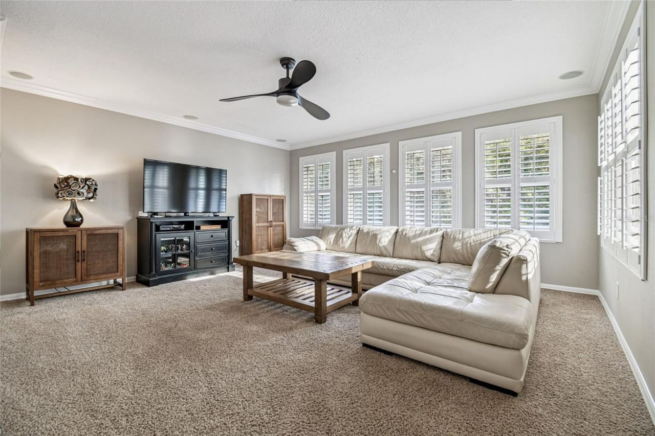 14617 Tudor Chase Drive, Tampa, FL 33626 Photo