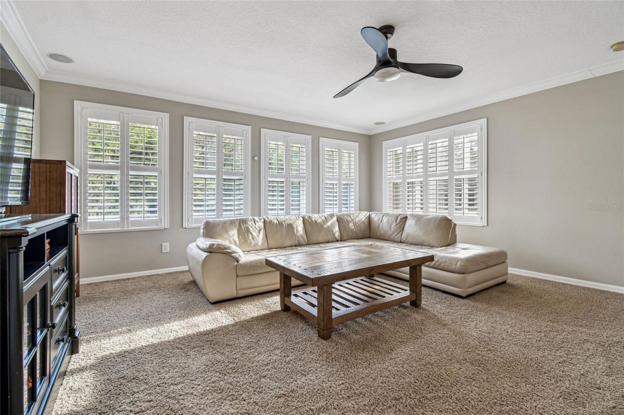 14617 Tudor Chase Drive, Tampa, FL 33626 Photo