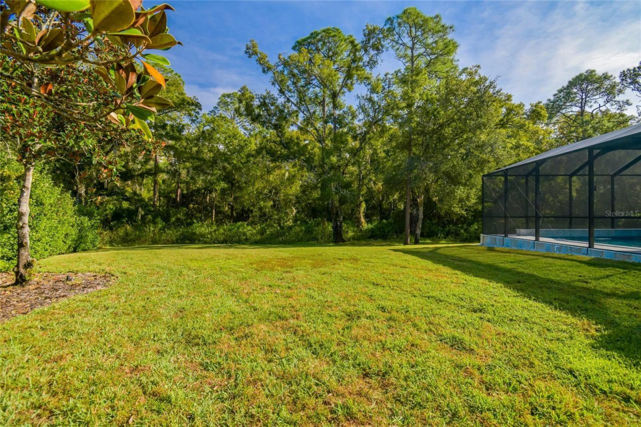 14617 Tudor Chase Drive, Tampa, FL 33626 Photo