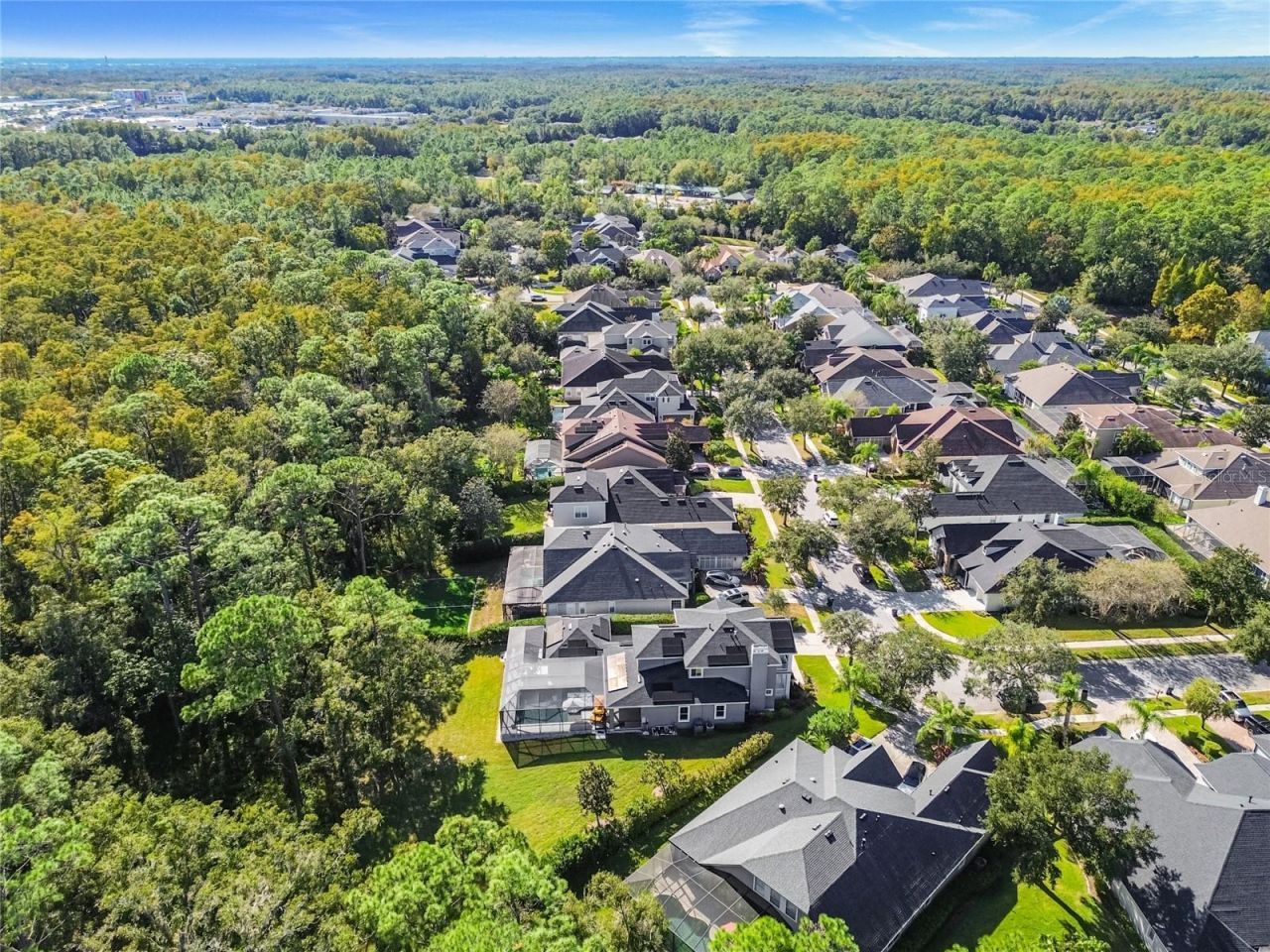 14617 Tudor Chase Drive, Tampa, FL 33626 Photo