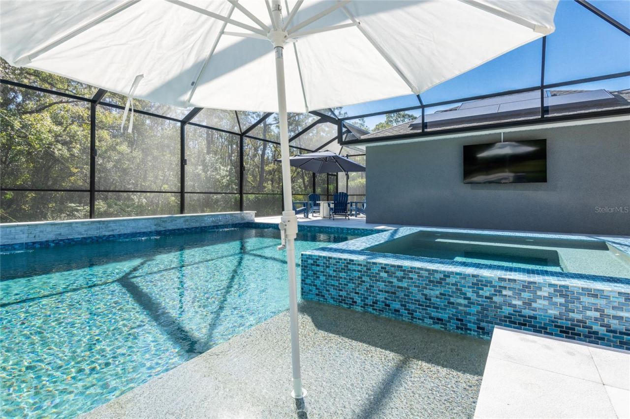 14617 Tudor Chase Drive, Tampa, FL 33626 Photo