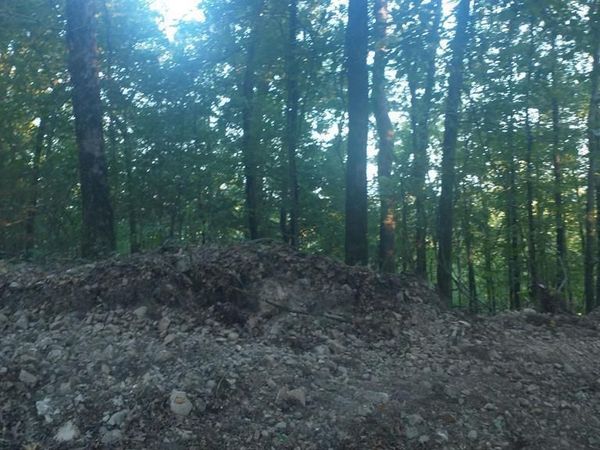 Burnham Mountai E HWY 8, Glenwood, AR 71943