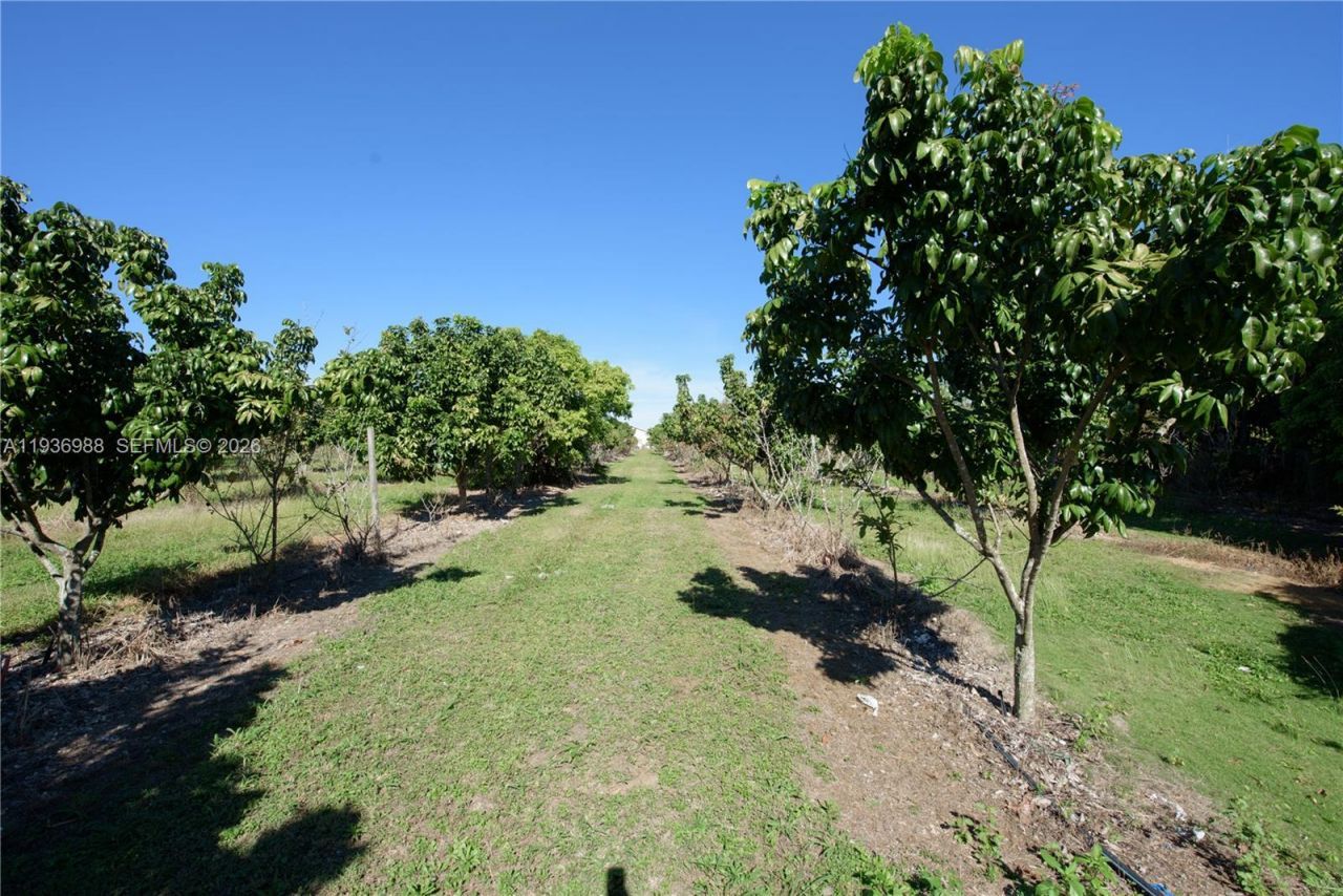 21295 SW 376th St , Homestead, FL 33034 Photo