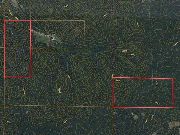 0 S33 T30N R6E, Silva, MO 63934