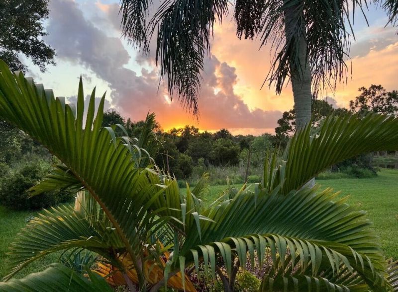 8256 SE Paurotis Lane, Hobe Sound, FL 33455 Photo