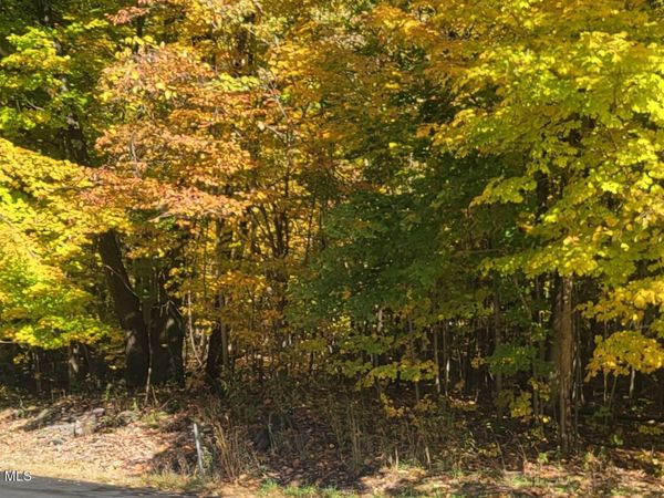 L3 Route 145, Cairo, NY 12413