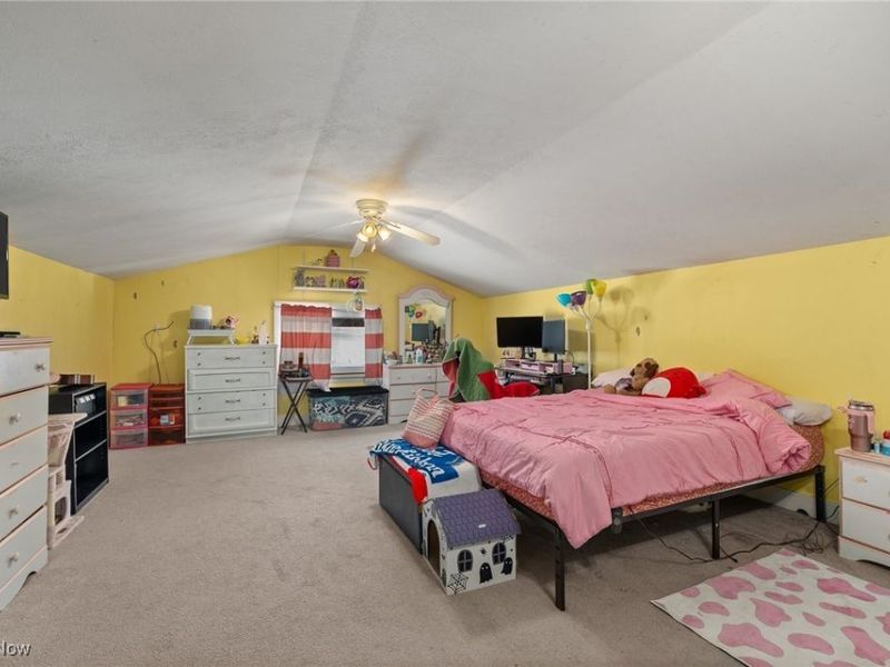 310 Township Road 902, Polk, OH 44866 Photo 41