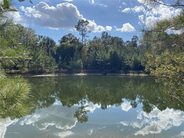 74231 JACK LLOYD Road, Abita Springs, LA 70420