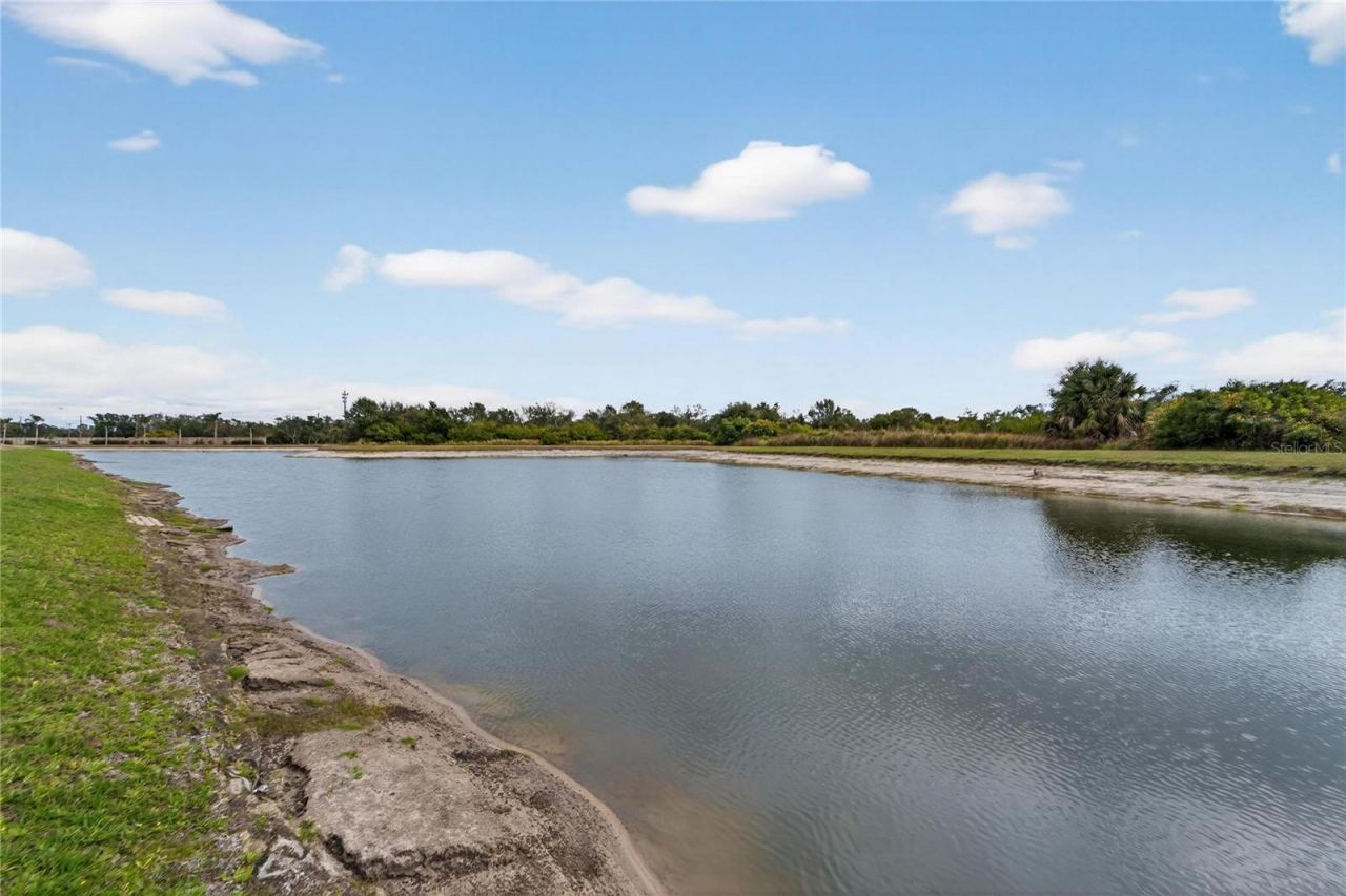 1613 Emerald Dunes Drive, Sun City Center, FL 33573 Photo