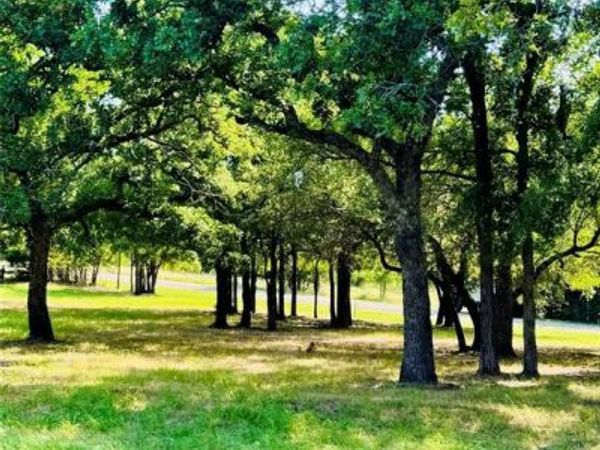 14004 Sandy Oaks Drive, Whitney, TX 76692