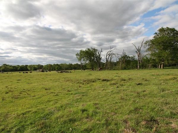 Trct2 VZ County Rd 1415, Van, TX 75790