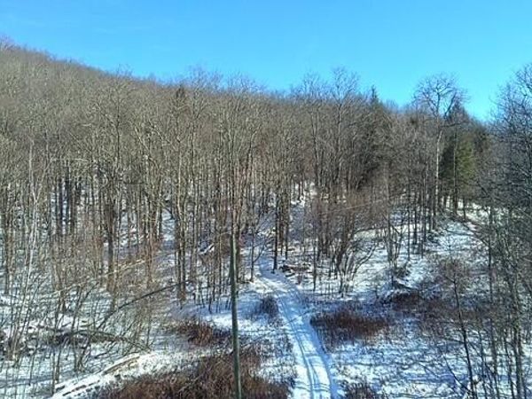 L1 Peakville Road, Hancock, NY 13783